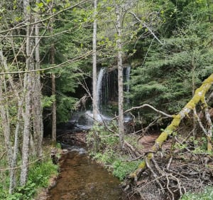 Cascade du Devez - Curières - 3