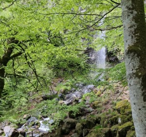Cascade du Devez - Curières - 4