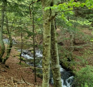 Cascade du Devez - Curières - 5