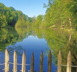 Les 3 étangs et la mare de Vallin - Saint-Victor-de-Cessieu - 4
