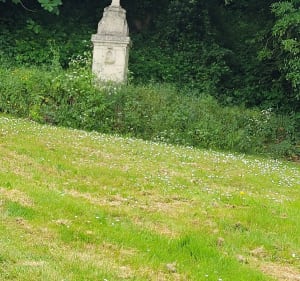 Sur les hauteurs de La Chapelle Basse Mer - Saint-Julien-de-Concelles - 3