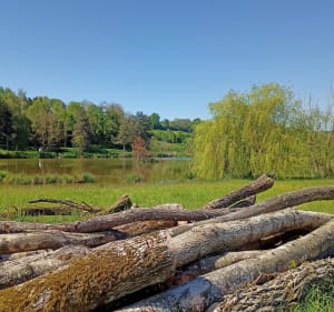 Les 3 étangs et la mare de Vallin - Saint-Victor-de-Cessieu - 5
