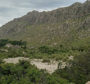 Vall de Boquer - Port de Pollença - 3