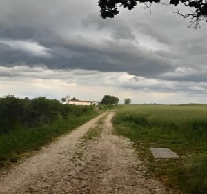 Chavanoz et ses bois en vélo - Chavanoz - 3
