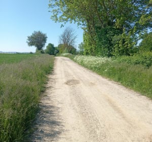 Parcours verdoyant autour de Chavanoz - Chavanoz - 3