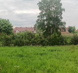 Żorska Rybnik - Rybnik - 3