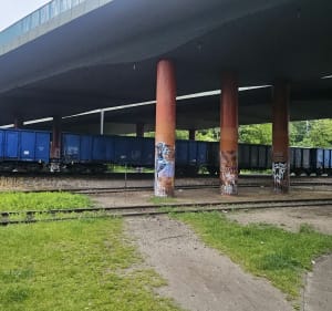 Lasek na Kole runda honorowa - Michał - 2