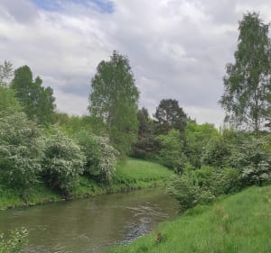 Z Brzęczkowice, Trójkąt Trzech Cesarzy, Stara Słupna. - Mysłowice - 4