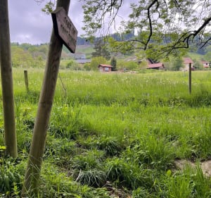 Le Tour, par les Ayes et Col de la Croix de Theys - Theys - 4