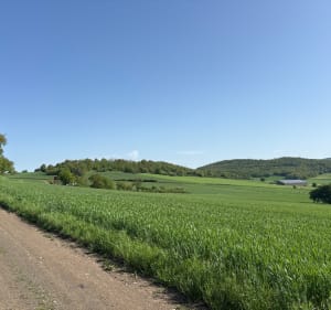 Balade de sainte Florine jusqu’aux Champs - Sainte-Florine - 3