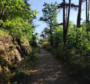 Rugissement des Pierres : chemin des Crêtes et voie romaine - Orcines - 4