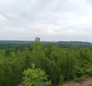 Boucle forêt domaniale Raismes Saint-Amand Wallers et terril - Raismes - 4