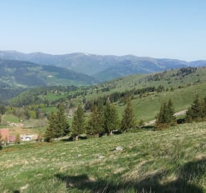 Randonnée autour du Petit Ballon. - Luttenbach-près-Munster - 3