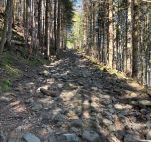 GR70, 2eme étape chemin de Stevenson - Le Monastier-sur-Gazeille - 4