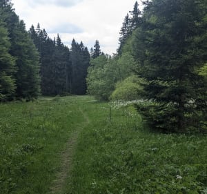 Boucle dans les hameaux des hauteurs d'Habère-Poche. - Habère-Poche - 4