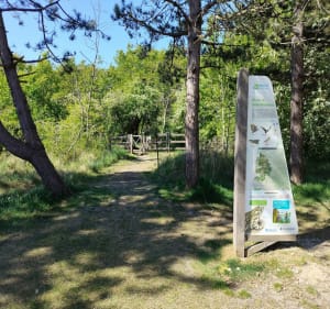 Rando plage et forêt du ruisseau à tabac - Merlimont - 5