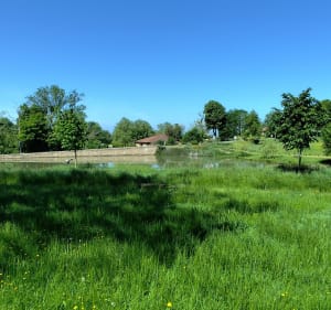 Boucle  St-Just-la-Pendue / St-Marcel-de-Féline - Saint-Just-la-Pendue - 5
