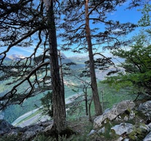 Tour de la Dent à Arâches - Arâches-la-Frasse - 3