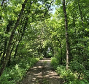 Balade à Charvieu-Chavagneux et ses alentours - Charvieu-Chavagneux - 3