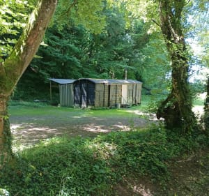 Sentier d'Etrigny jusqu'à la roche d'Anjou - Étrigny - 3