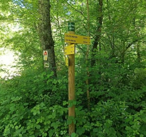 Sentier d'Etrigny jusqu'à la roche d'Anjou - Étrigny - 4