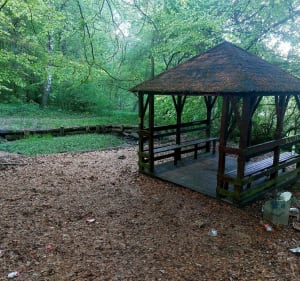Lasek miejski w Chojnicach od ulicy Zielonej - Chojnice - 3