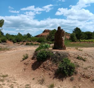 Sur le plateau de Castelnau - Castelnau-de-Guers - 5