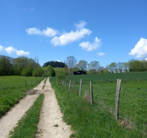 Balade N°6 de Chabons au dessus du bois des cotes - Châbons - 3