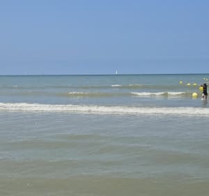 Deauville les incontournables ! - Deauville - 3