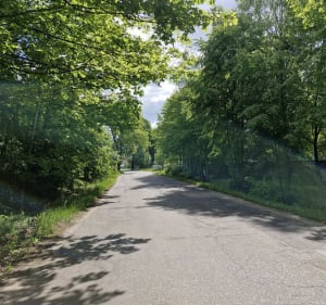 Spacerkiem po Trackiej - Olsztyn - 3