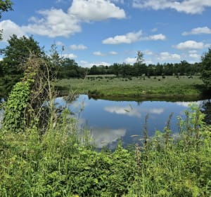 Tour d'Agneaux en passant par Pont-Hébert et Saint Lô - Agneaux - 4