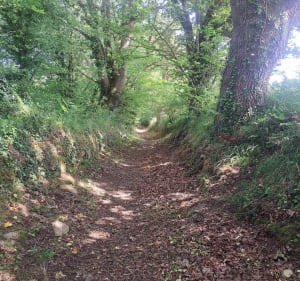 Boucle de St-Cado à Etel - Belz - 4