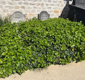Visite d’Auvers-sur-Oise avec enfant - Auvers-sur-Oise - 4