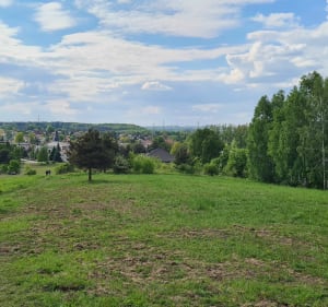 Krzyż nad Długoszynem (Górka Szczakowska, KPJ) - Jaworzno - 4