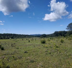 Rando autour de Ferrières-les-Verreries - Ferrières-les-Verreries - 3