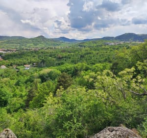 Puy de Montaudoux et bois de la Châtaigneraie - Ceyrat - 3