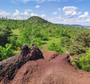 Puy de Montaudoux et bois de la Châtaigneraie - Ceyrat - 5