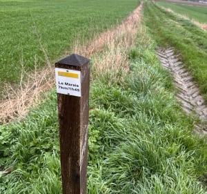 Le sentier le marais à Annay - Annay - 3