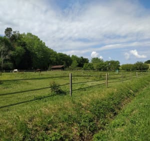 Saint-Martin-de-Hinx et alentours, par Bellocq - Saint-Martin-de-Hinx - 3