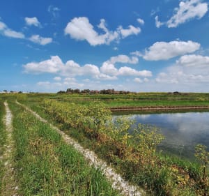 Plongée dans le monde maritime au Chapus - Bourcefranc-le-Chapus - 3