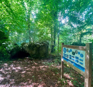 Balade forêt de Saint-Gobain et Pierres Levées - Saint-Gobain - 3