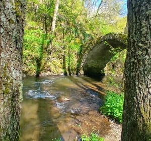 Le sentier aux loups - Sophie - 5