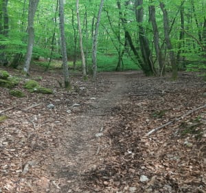 Petit tour  dans la Mandallaz - Choisy - 5