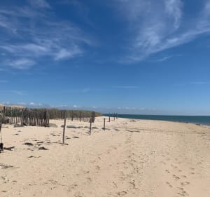 Balade Mer et Terre à Noirmoutier-en-l'Île - Noirmoutier-en-l'Île - 5