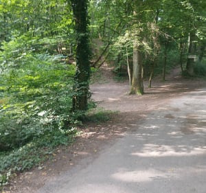 Autour de Lentilly - Lentilly - 3