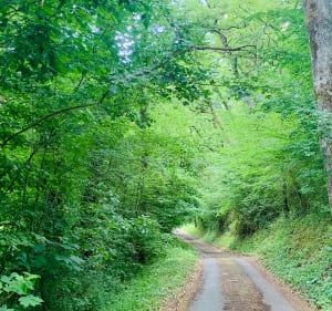 Petite balade sur le plateau de Nazelles-Négron - Nazelles-Négron - 3