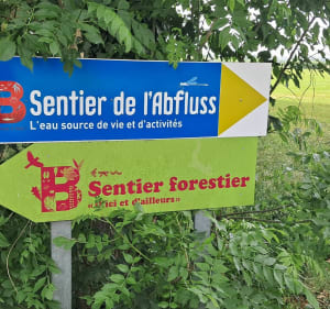 Entre forêt, canal de la Marne au Rhin et champs, par Mommenheim - Brumath - 3