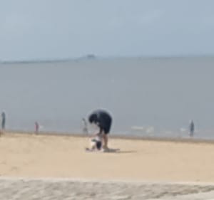 D'Angoulin à Rochefort sur la Vélodyssée - Angoulins - 5
