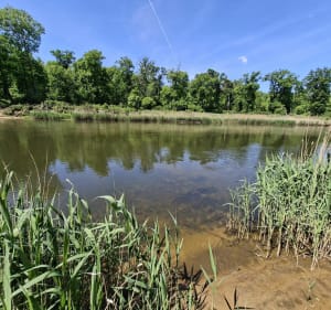 Czmoniec- nad Wartą - Czmoniec - 3