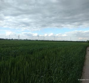 Boguszyce - Gosia - 3